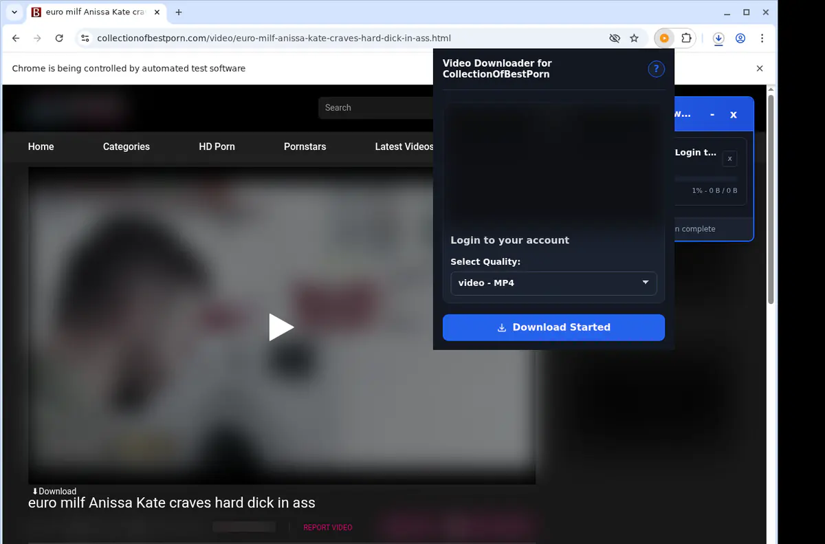 Collectionofbestporn Video Downloader browser extension screenshot 2