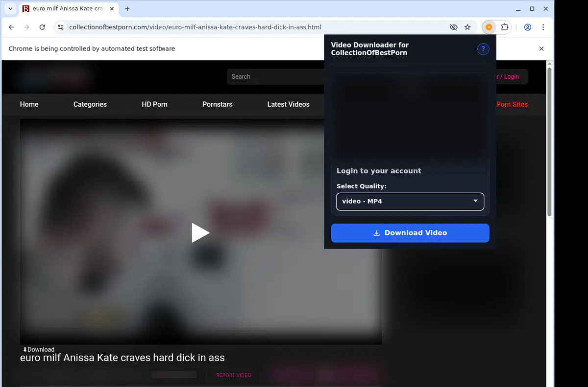 Collectionofbestporn Video Downloader browser extension screenshot 3
