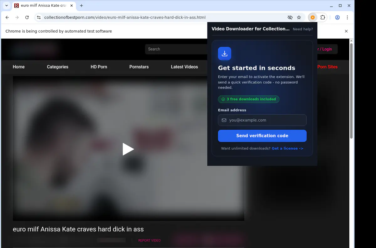 Collectionofbestporn Video Downloader browser extension screenshot 4