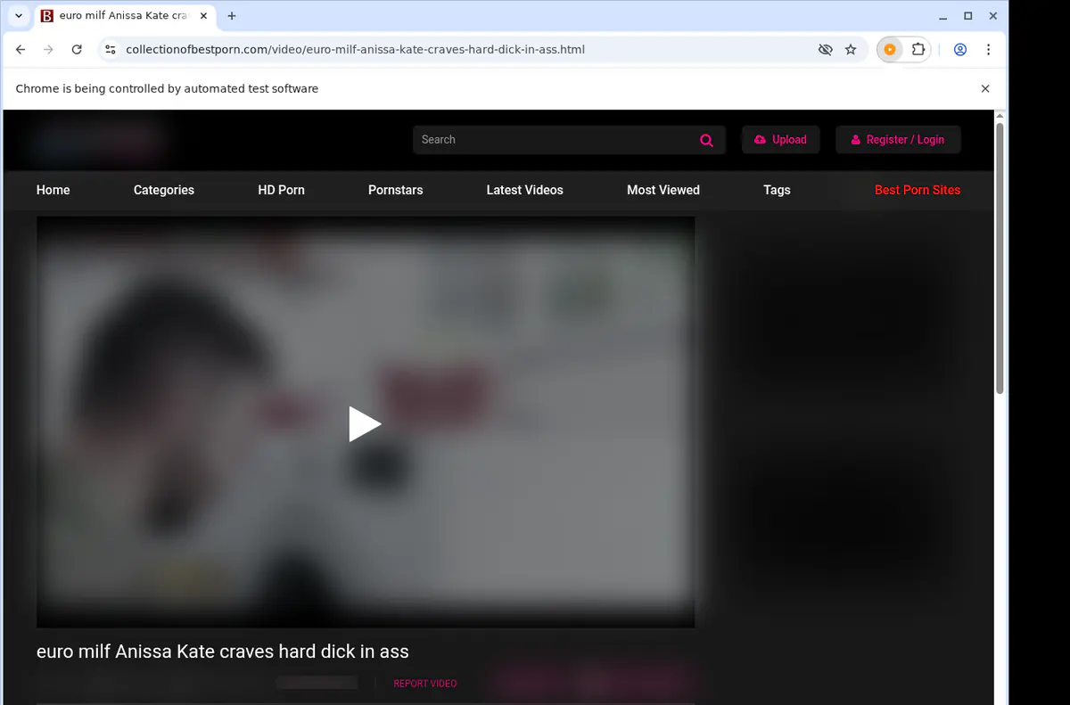 Collectionofbestporn Video Downloader browser extension screenshot 5